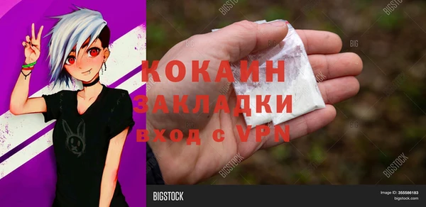 индика Беломорск
