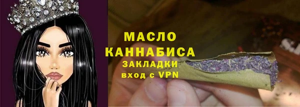 индика Беломорск