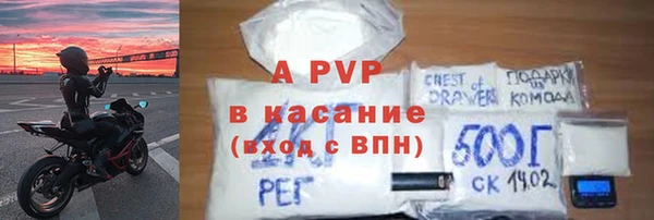индика Беломорск