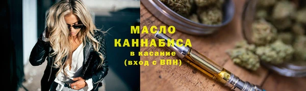 индика Беломорск