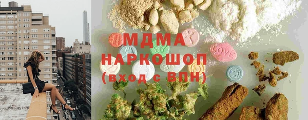 сатива Новозыбков
