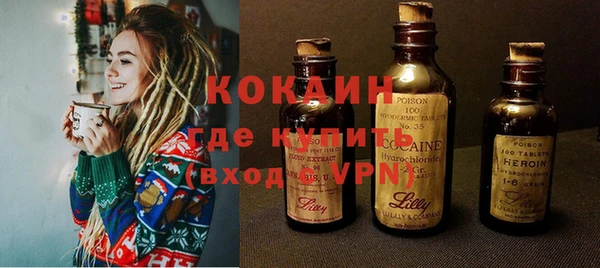 индика Беломорск