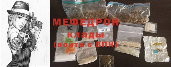 индика Беломорск