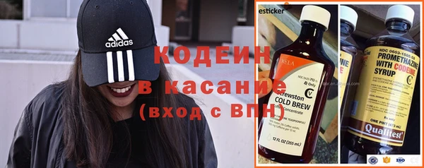 индика Беломорск