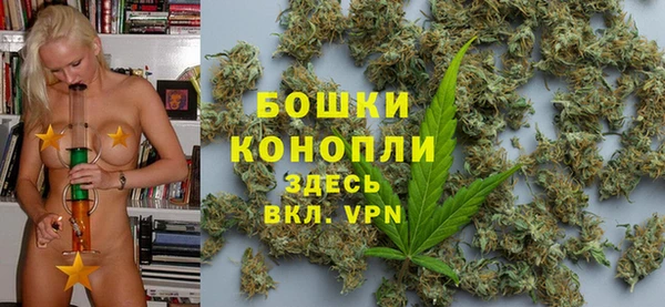 индика Беломорск