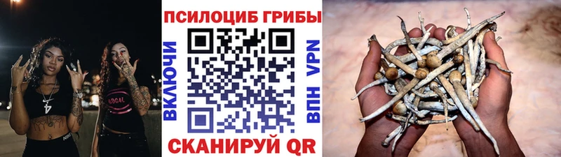 Псилоцибиновые грибы ЛСД  где можно купить наркотик  Киренск 
