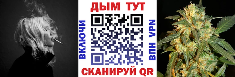 Бошки Шишки SATIVA & INDICA  наркота  Киренск 